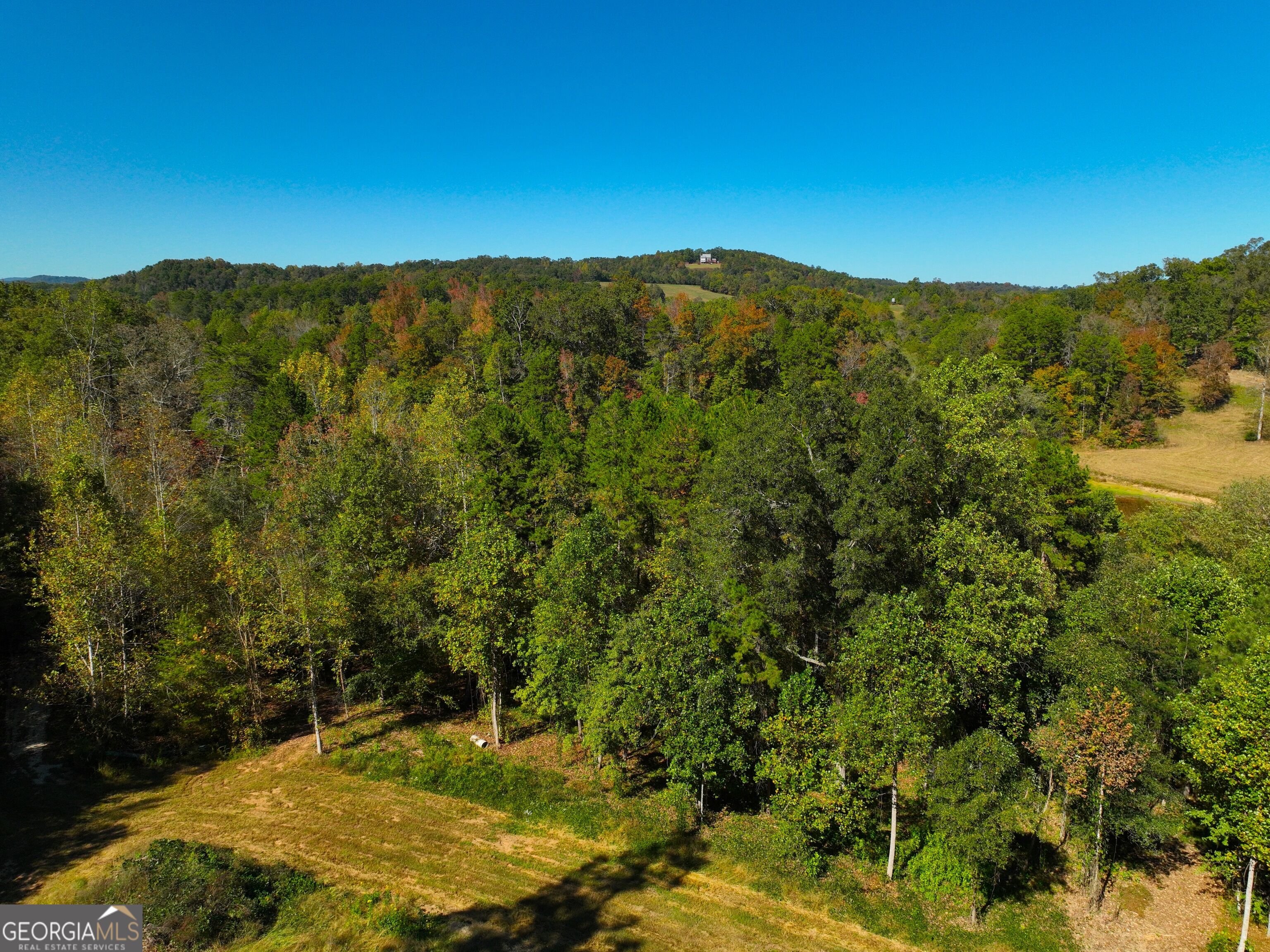 0 River Road Property Photo 3