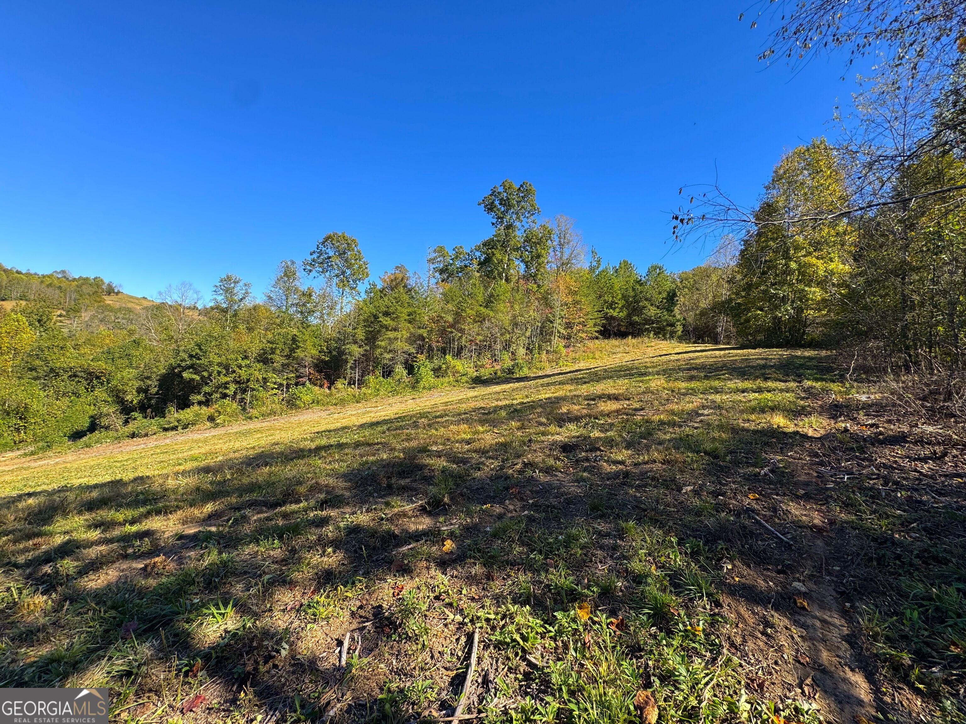 0 River Road Property Photo 5