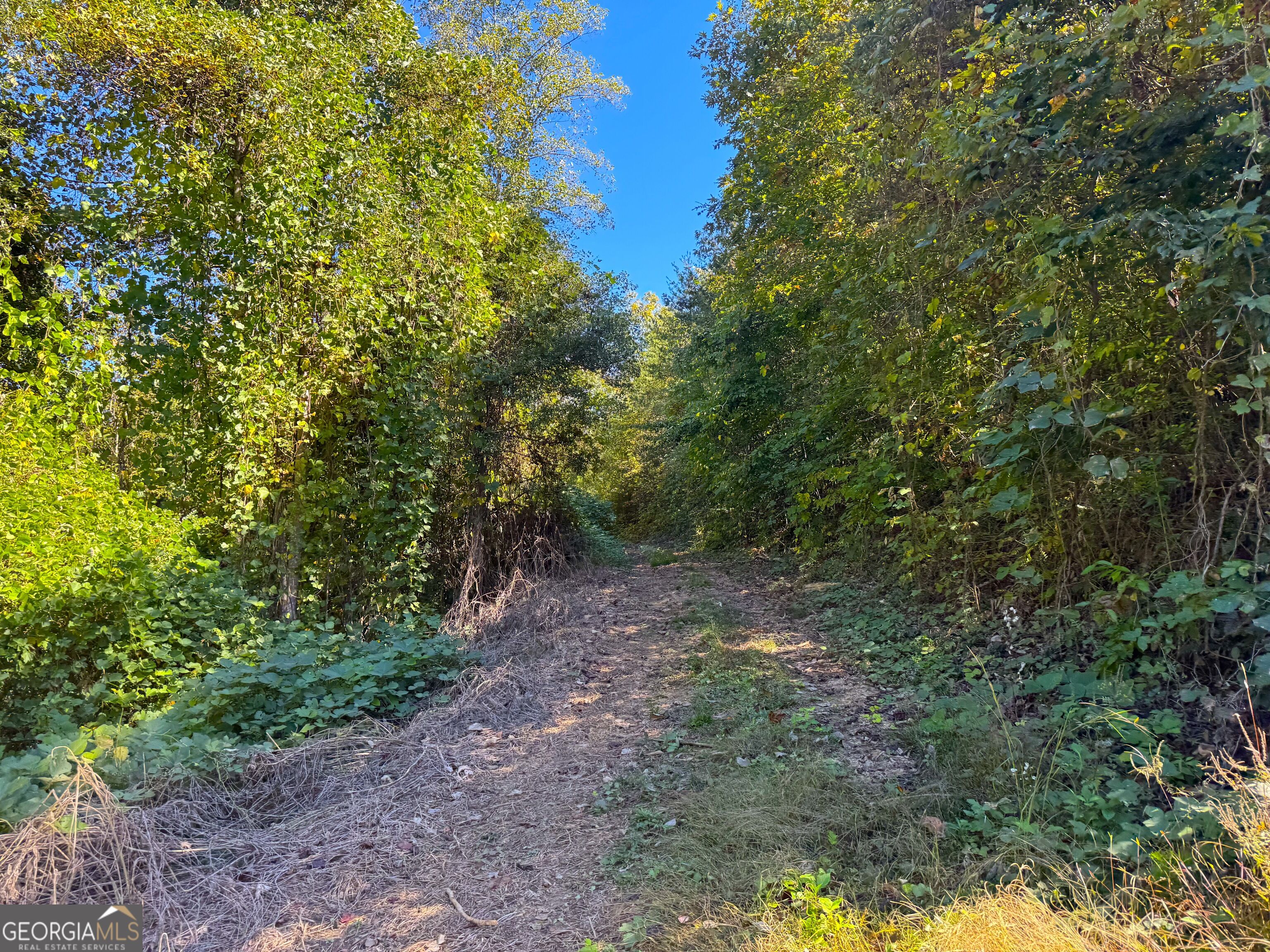 0 River Road Property Photo 8