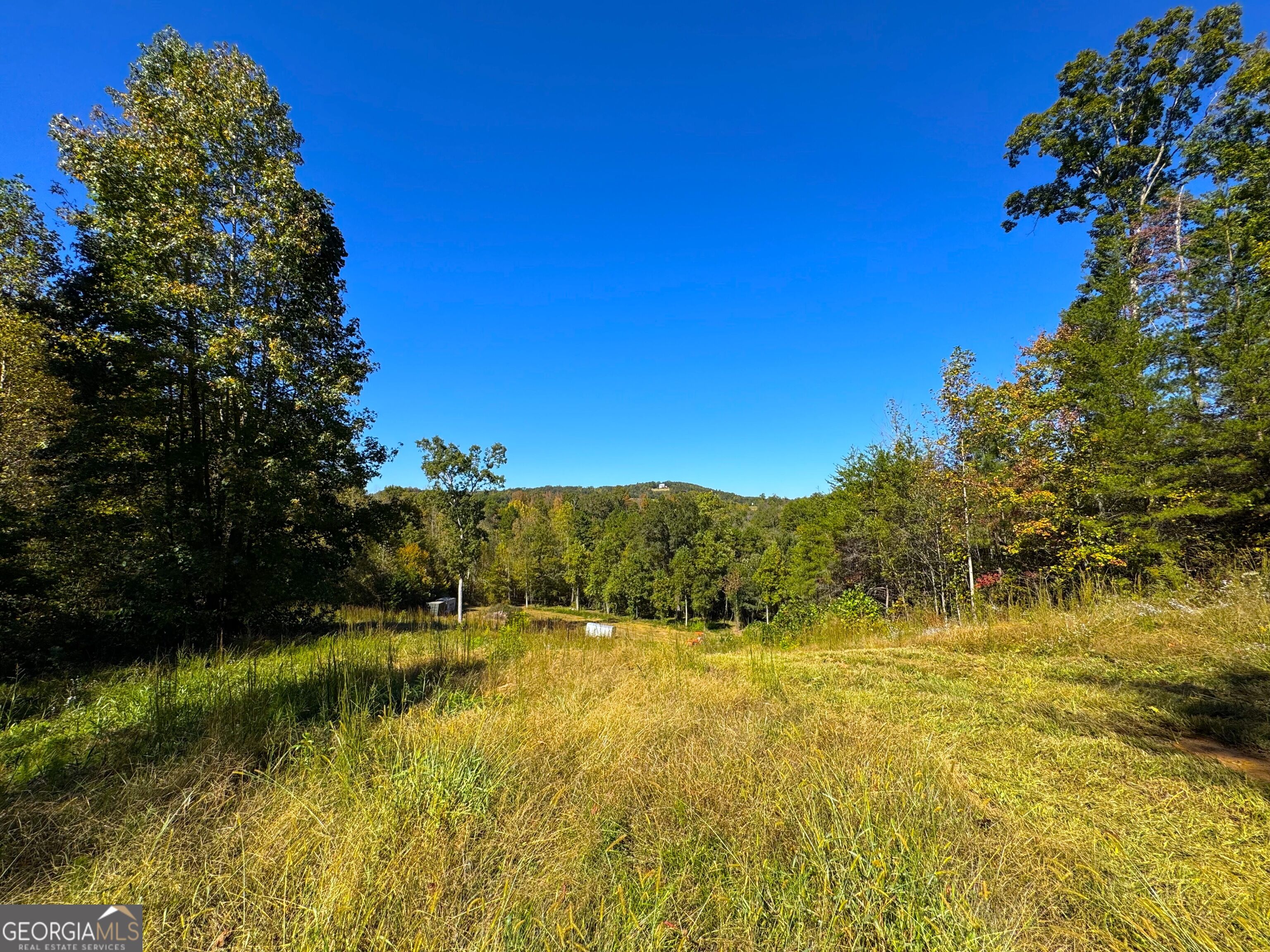 0 River Road Property Photo 10