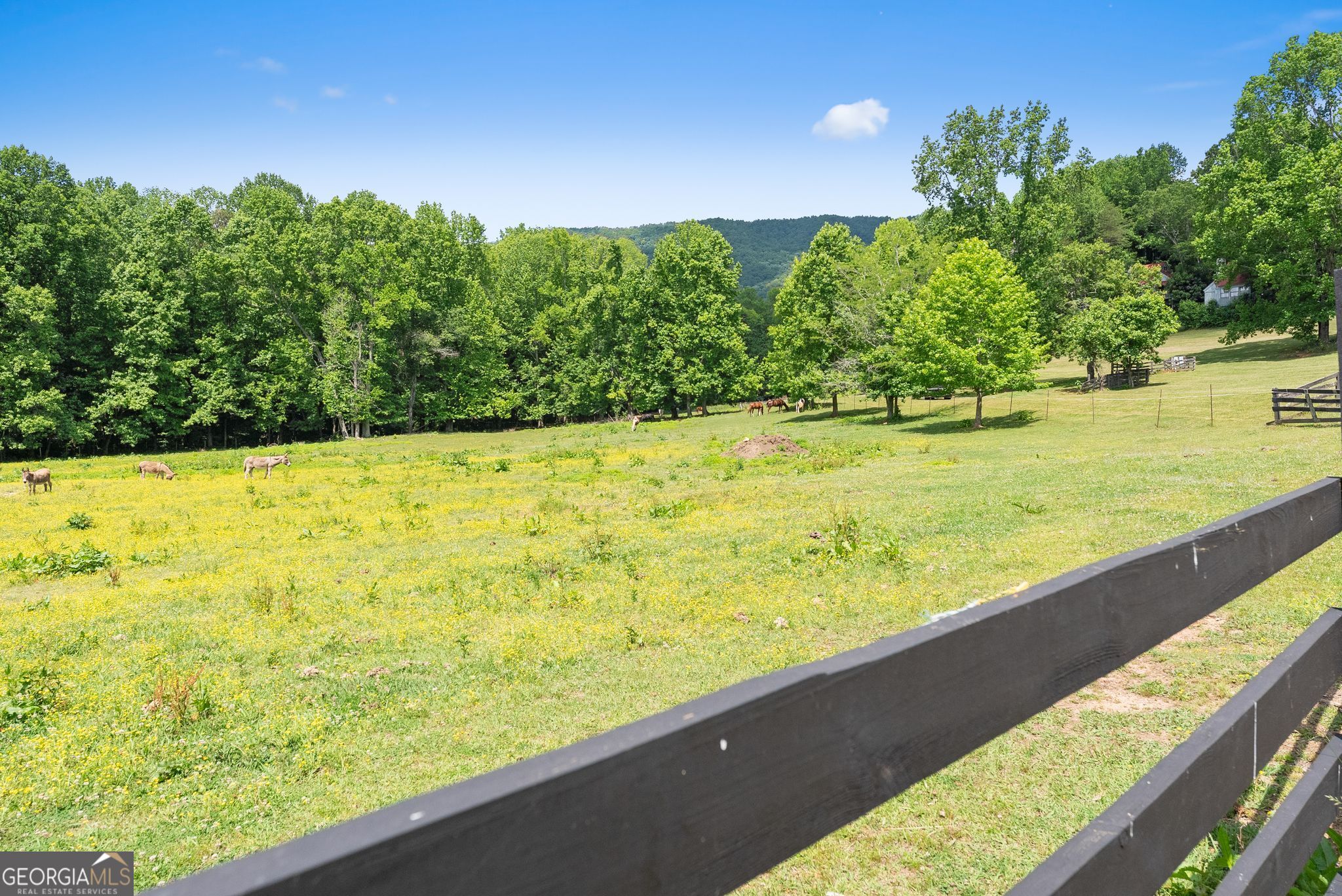 91 Magnificent Way # D45 Property Photo 36