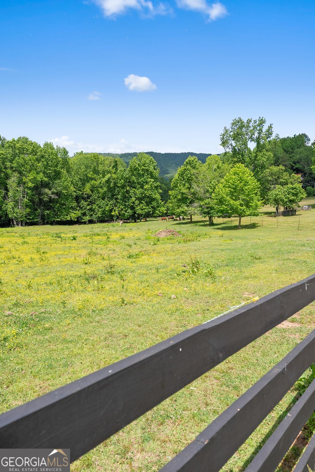 91 Magnificent Way # D45 Property Photo 37