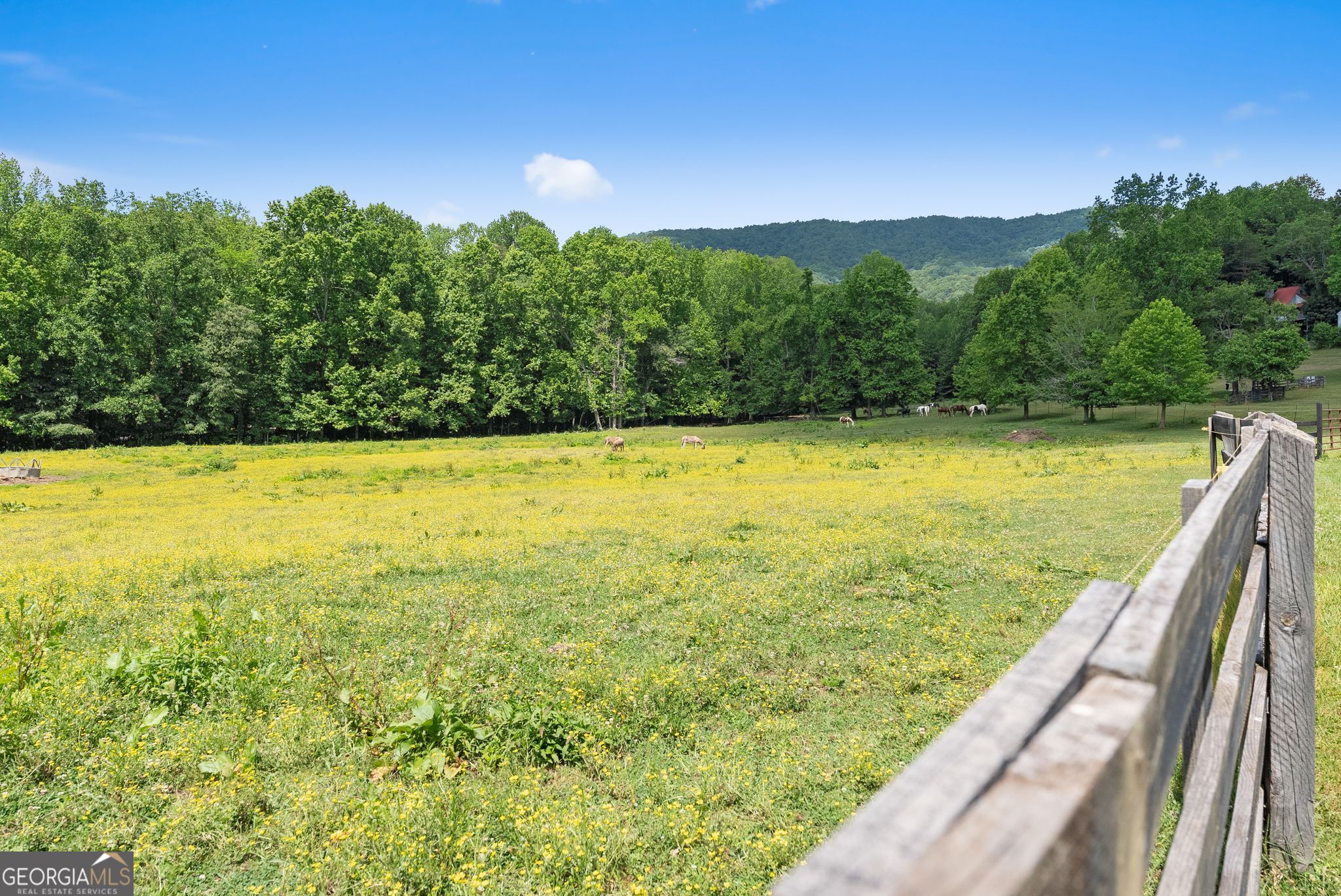 91 Magnificent Way # D45 Property Photo 39