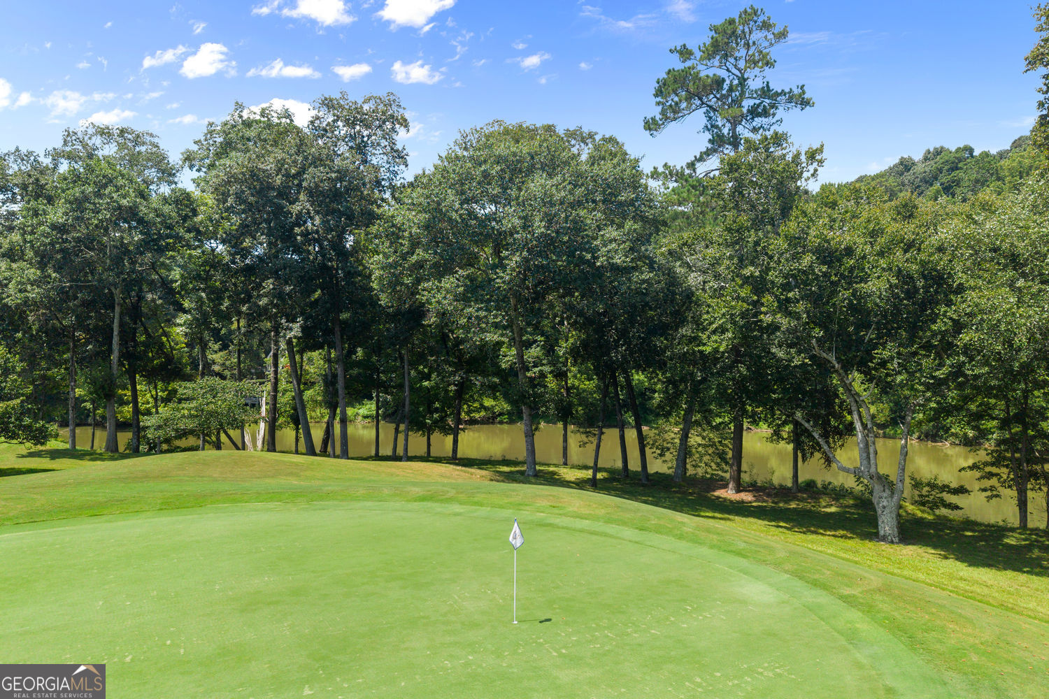 255 Tenth Fairway Property Photo 6