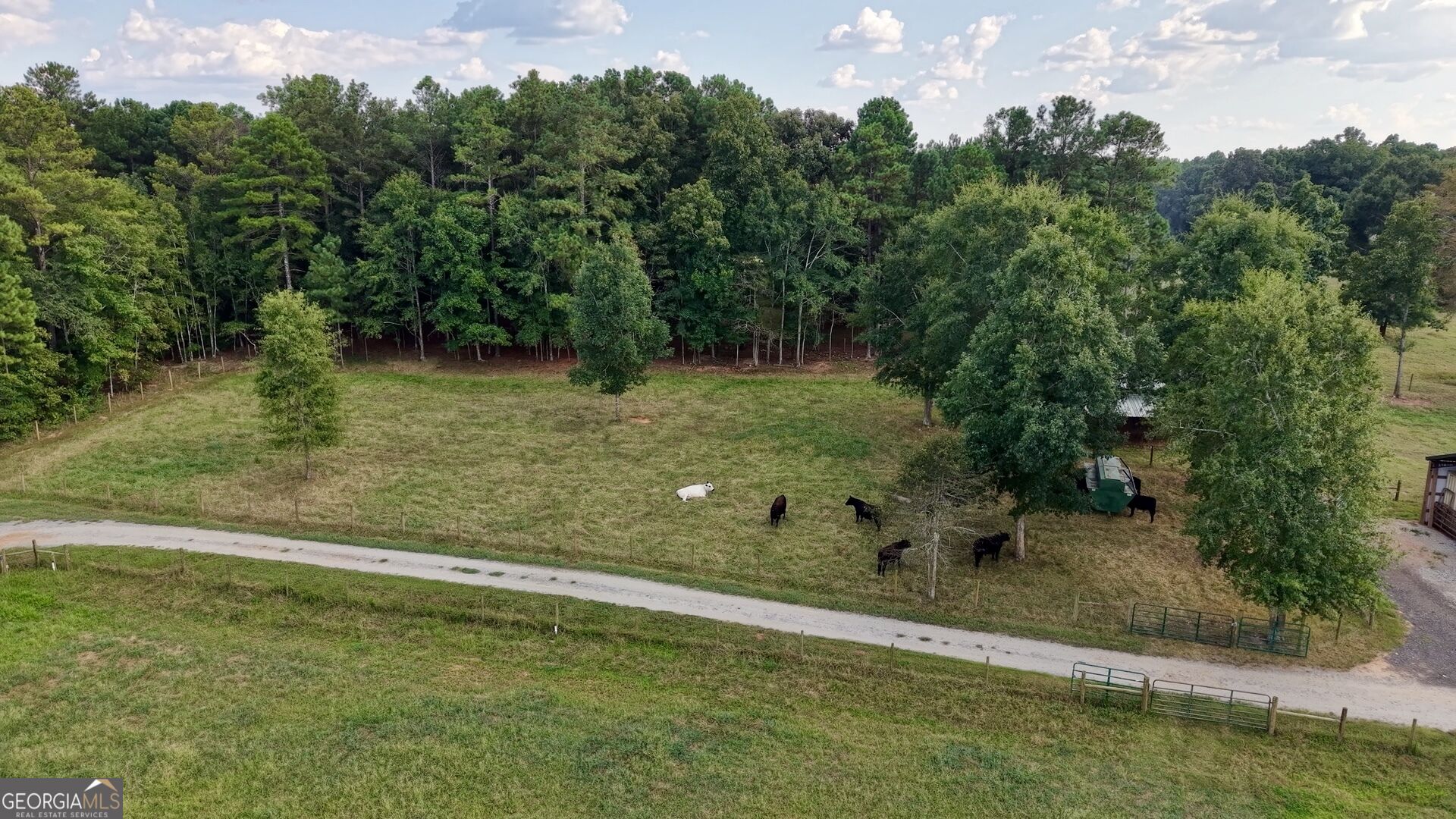 156 Perdue Road Property Photo 44