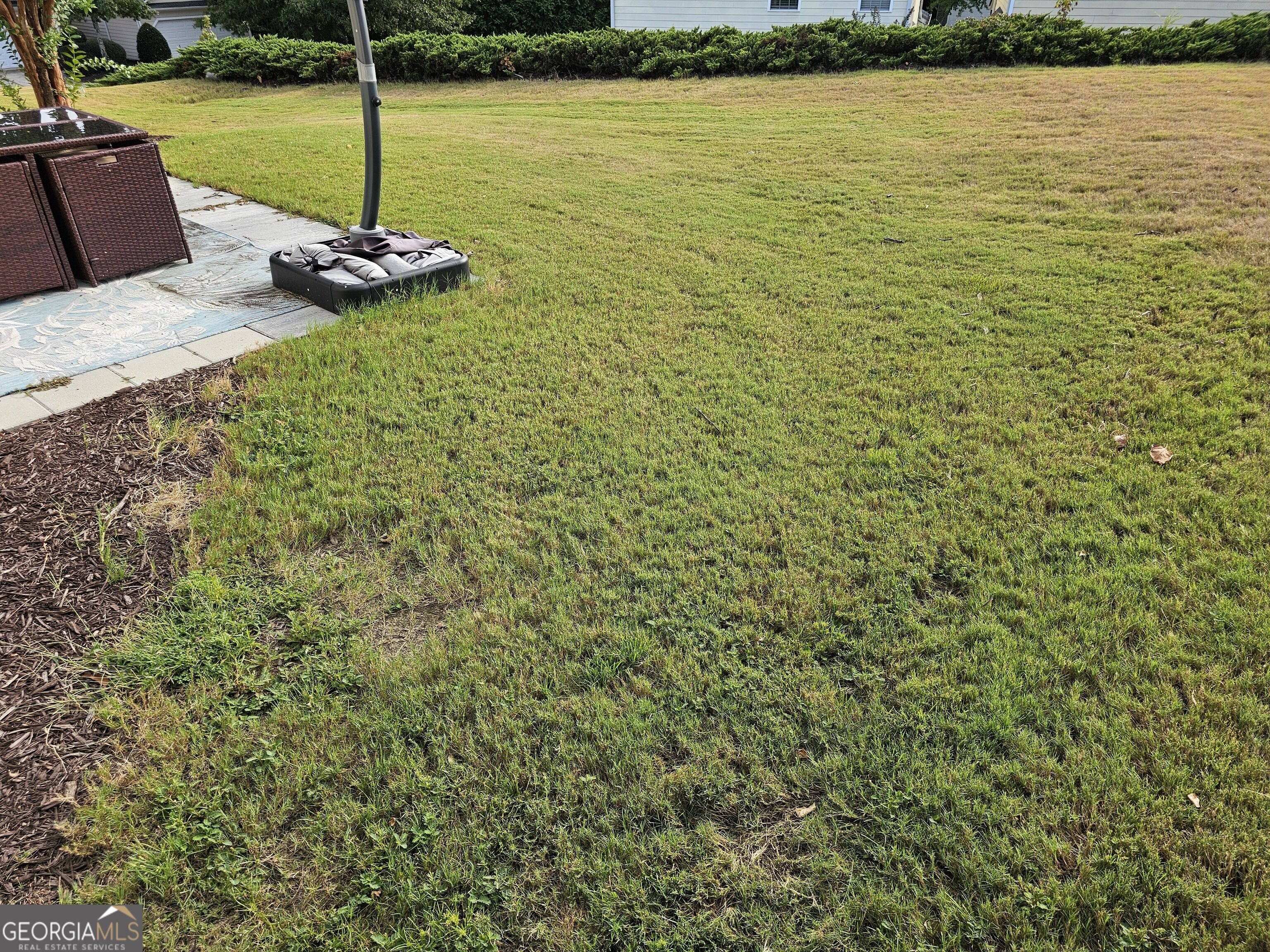 2404 Black Forest Drive Property Photo 24