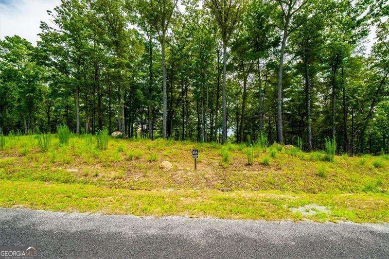 0 Ridge Drive Property Photo 4
