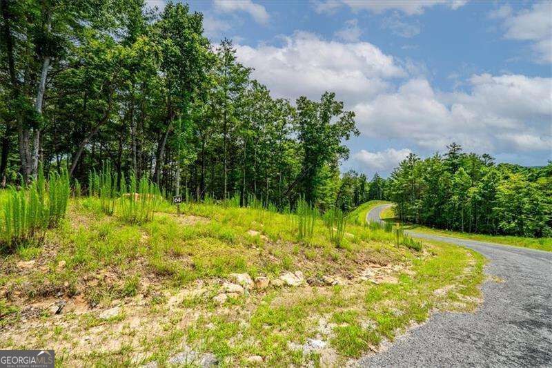 0 Ridge Drive Property Photo 8