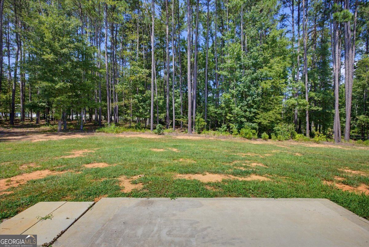 62 Windrow Trail Property Photo 30