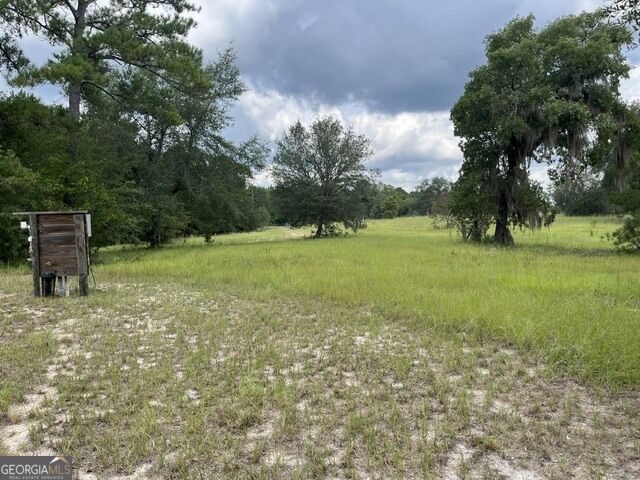 10532 Stillmore Highway Property Photo 2