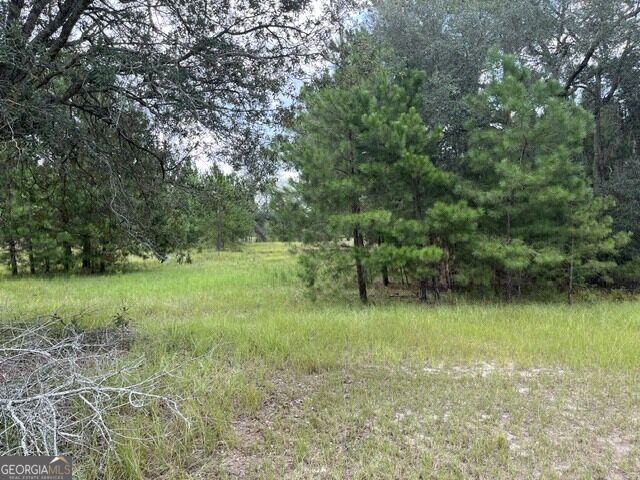 10532 Stillmore Highway Property Photo 3