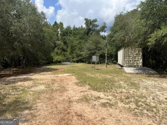 10532 Stillmore Highway Property Photo 5