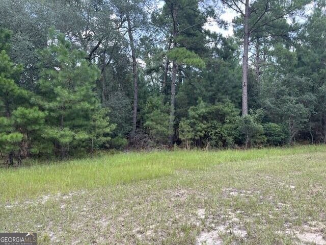 10532 Stillmore Highway Property Photo 19