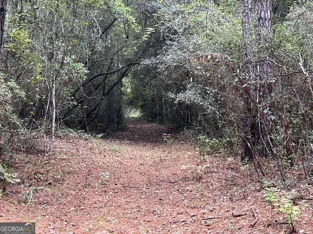 10532 Stillmore Highway Property Photo 20