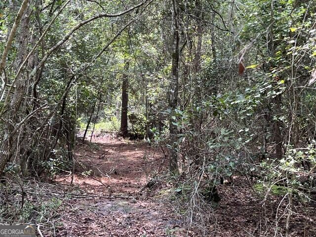 10532 Stillmore Highway Property Photo 21