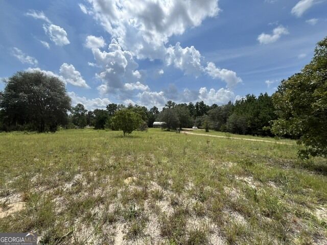 10532 Stillmore Highway Property Photo 22