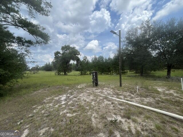 10532 Stillmore Highway Property Photo 23