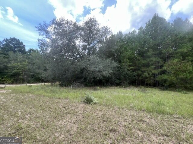 10532 Stillmore Highway Property Photo 24