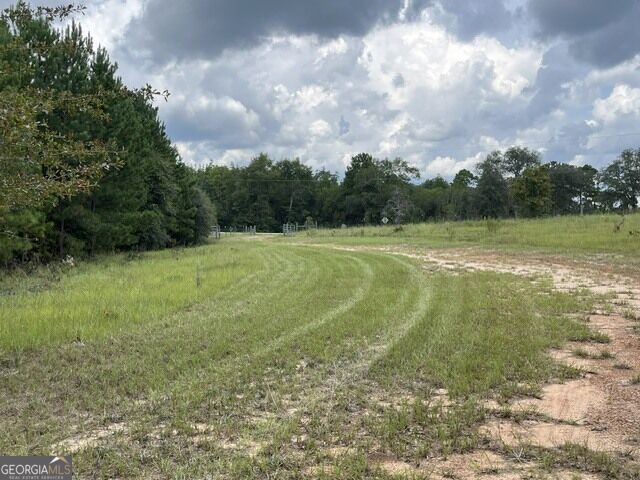 10532 Stillmore Highway Property Photo 25
