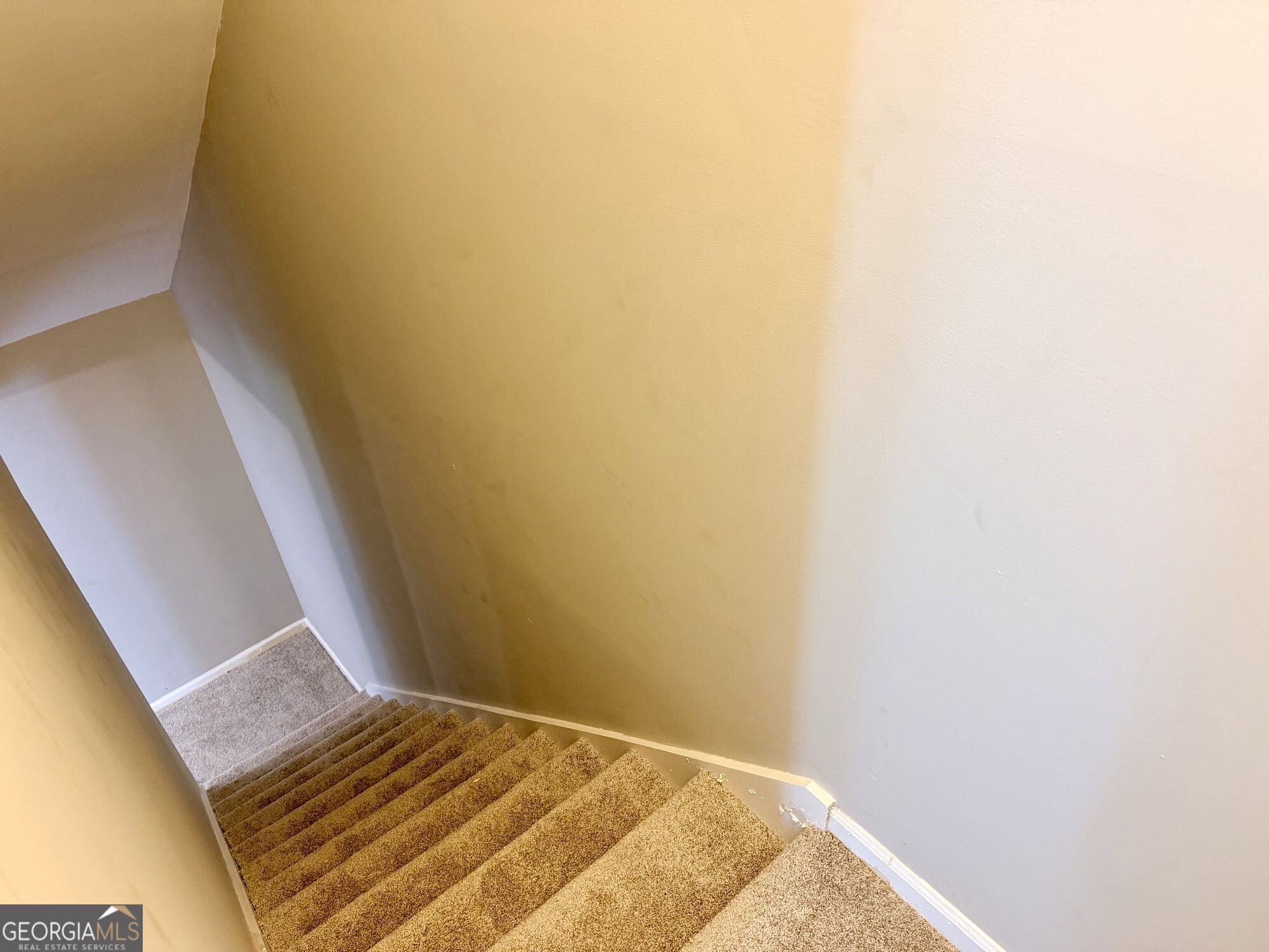 876 Newton Road Property Photo 17