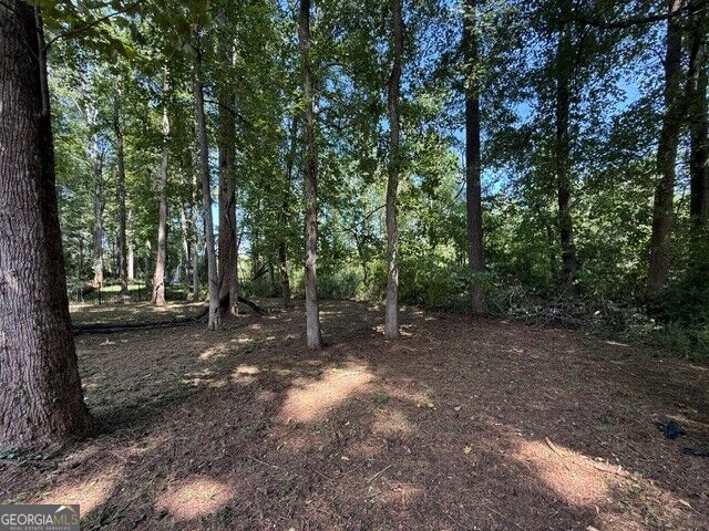 210 Hamilton Drive Property Photo 9