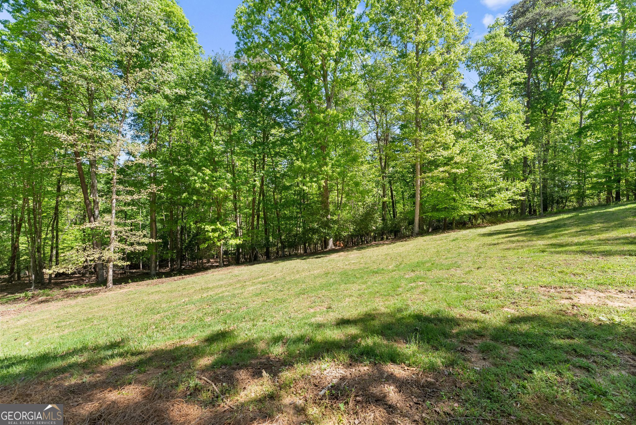 45 Holcomb Drive Property Photo 65