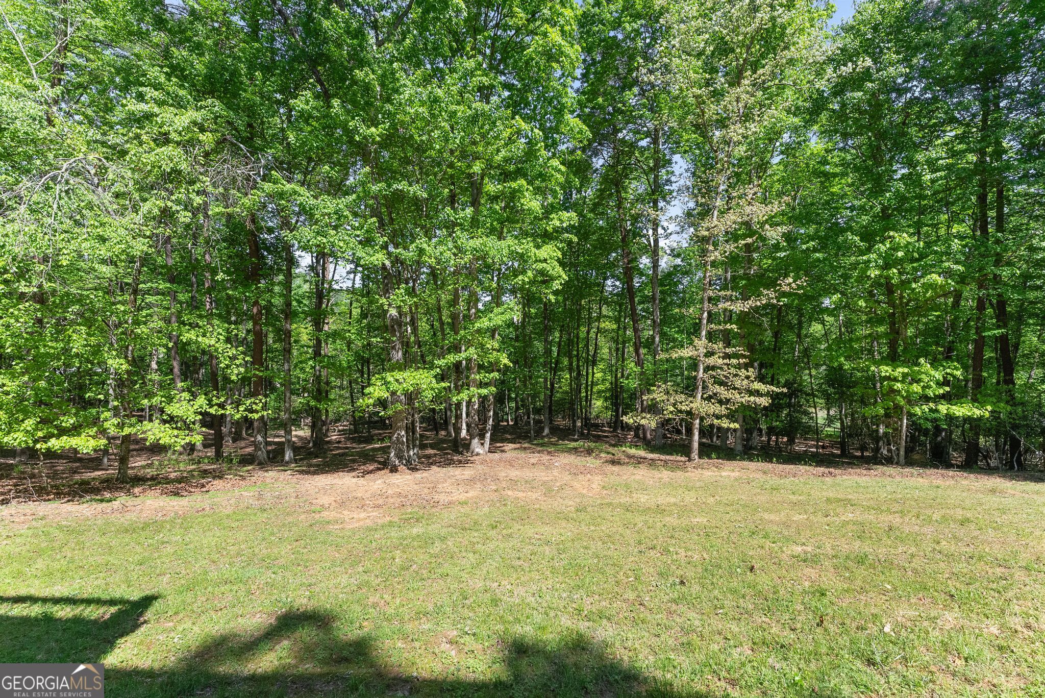 45 Holcomb Drive Property Photo 66