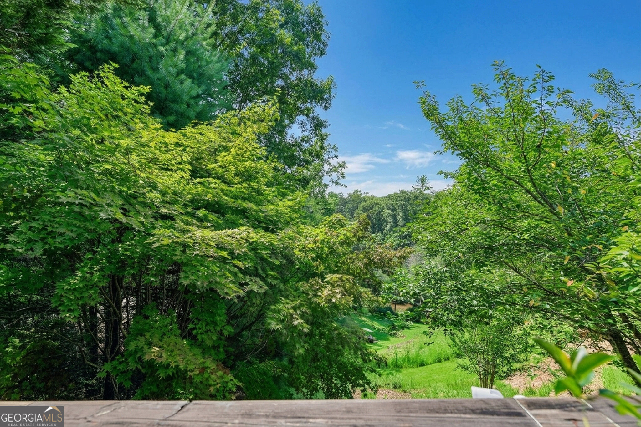 342 River Trail Property Photo 62