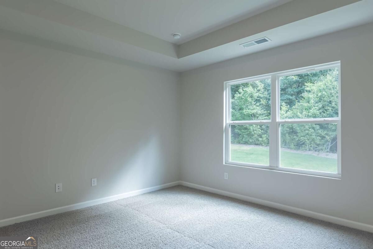 1150 Earlywood Way Property Photo 15