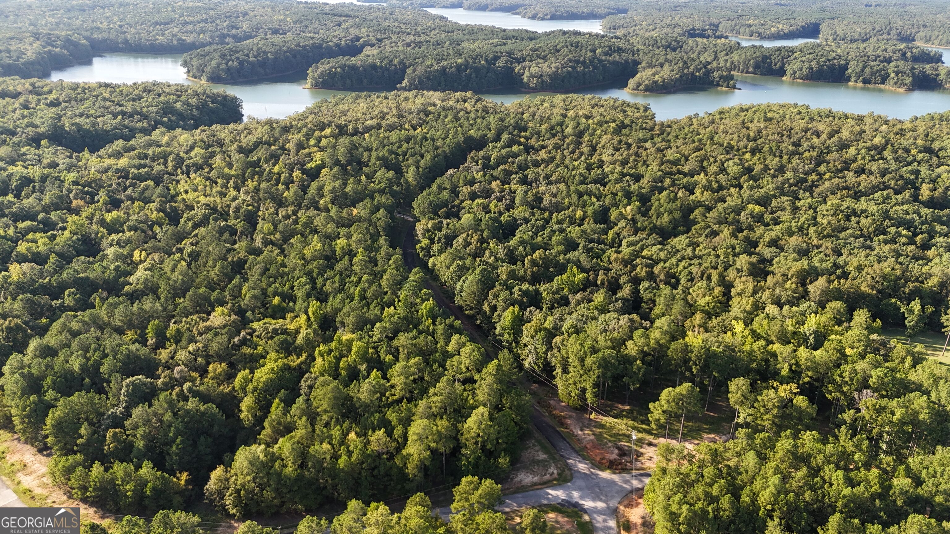 0 Lot 29 Lakeside Drive Property Photo 1