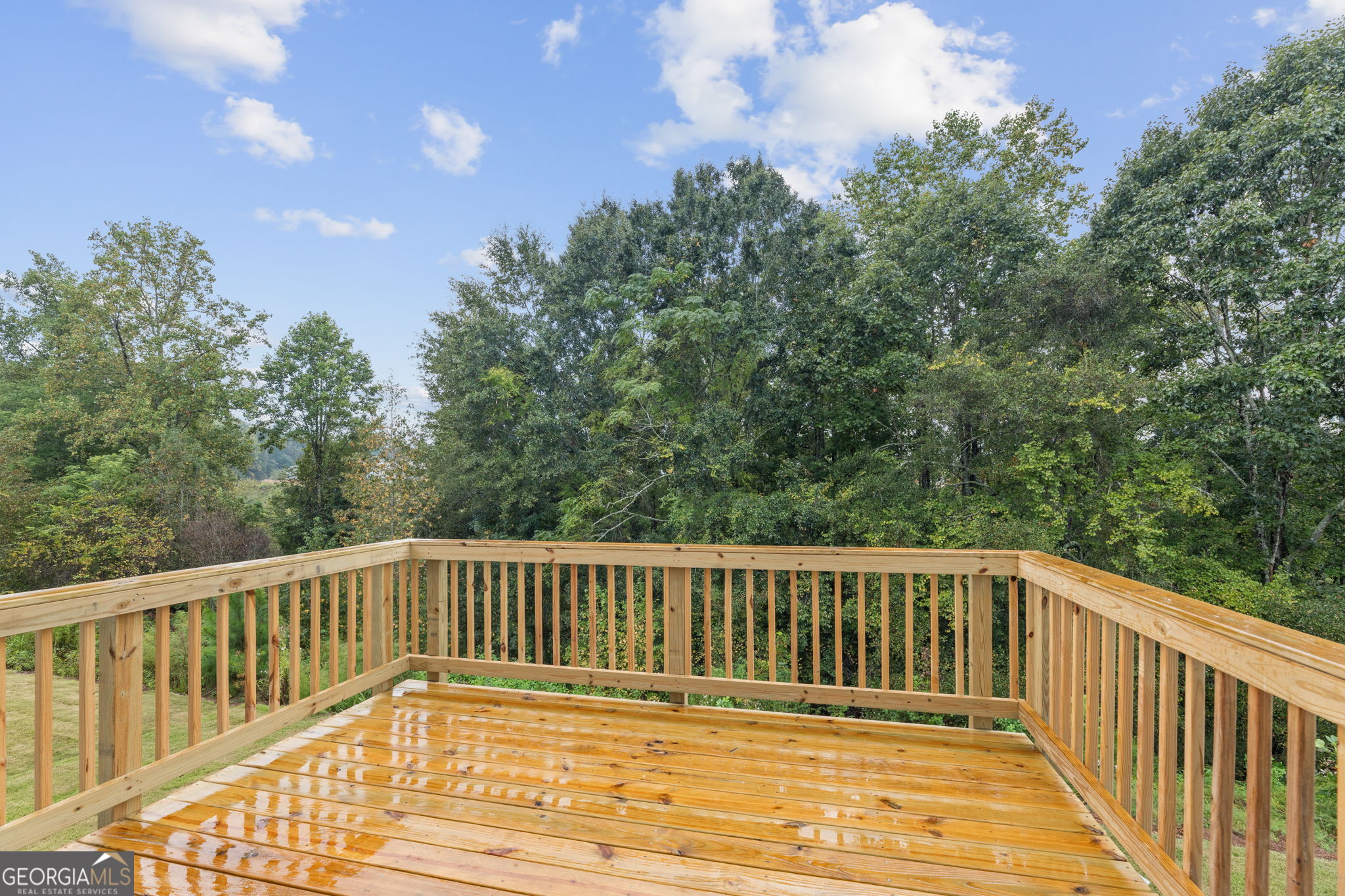 155 Open Waters Walk Property Photo 29