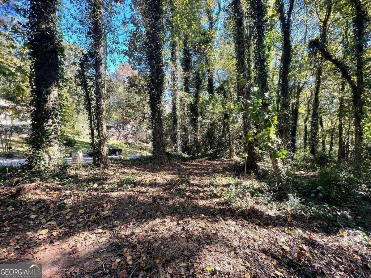 1060 De Leon Drive Property Photo 1