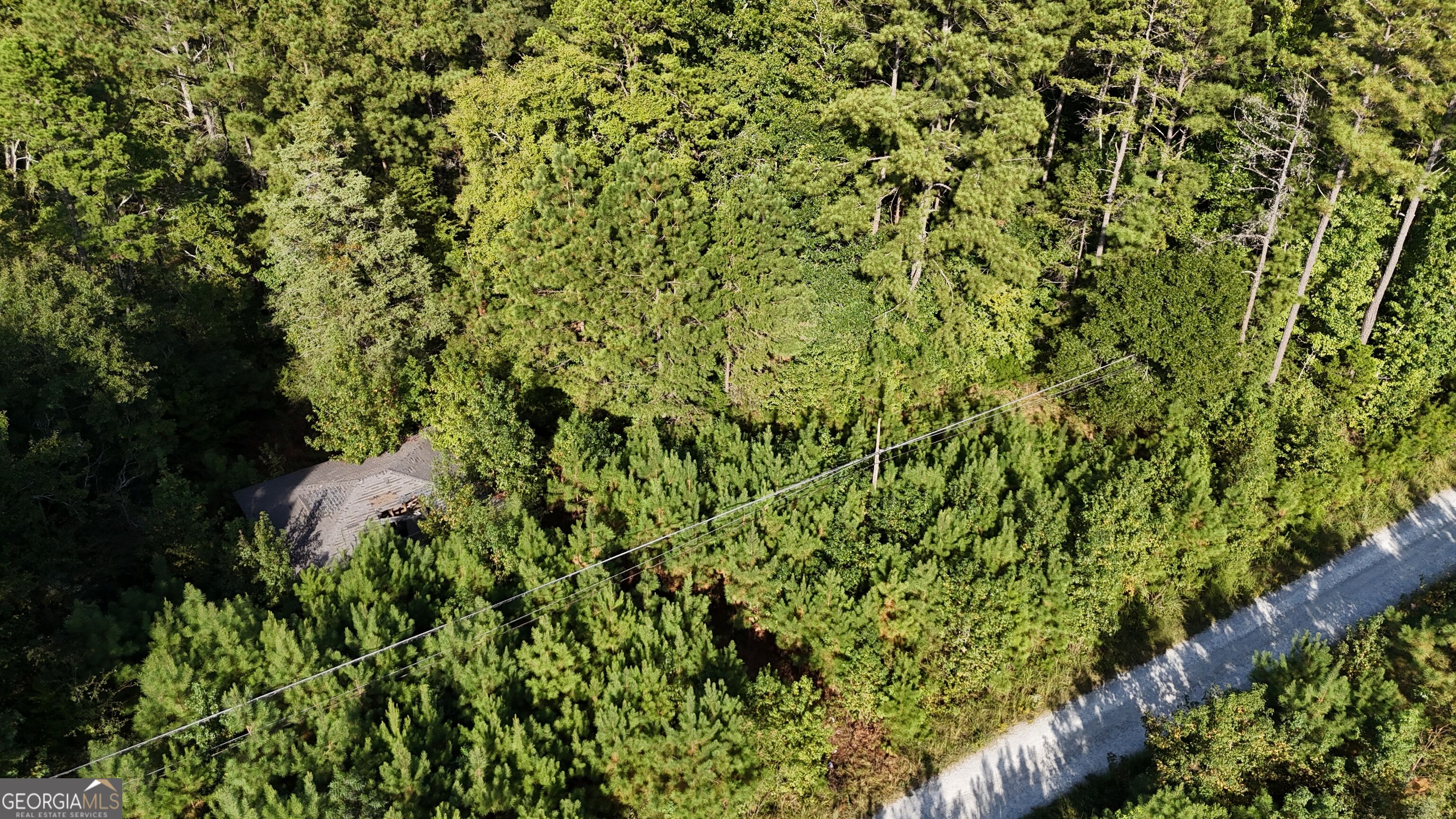 0 Bowman Highway Property Photo 8
