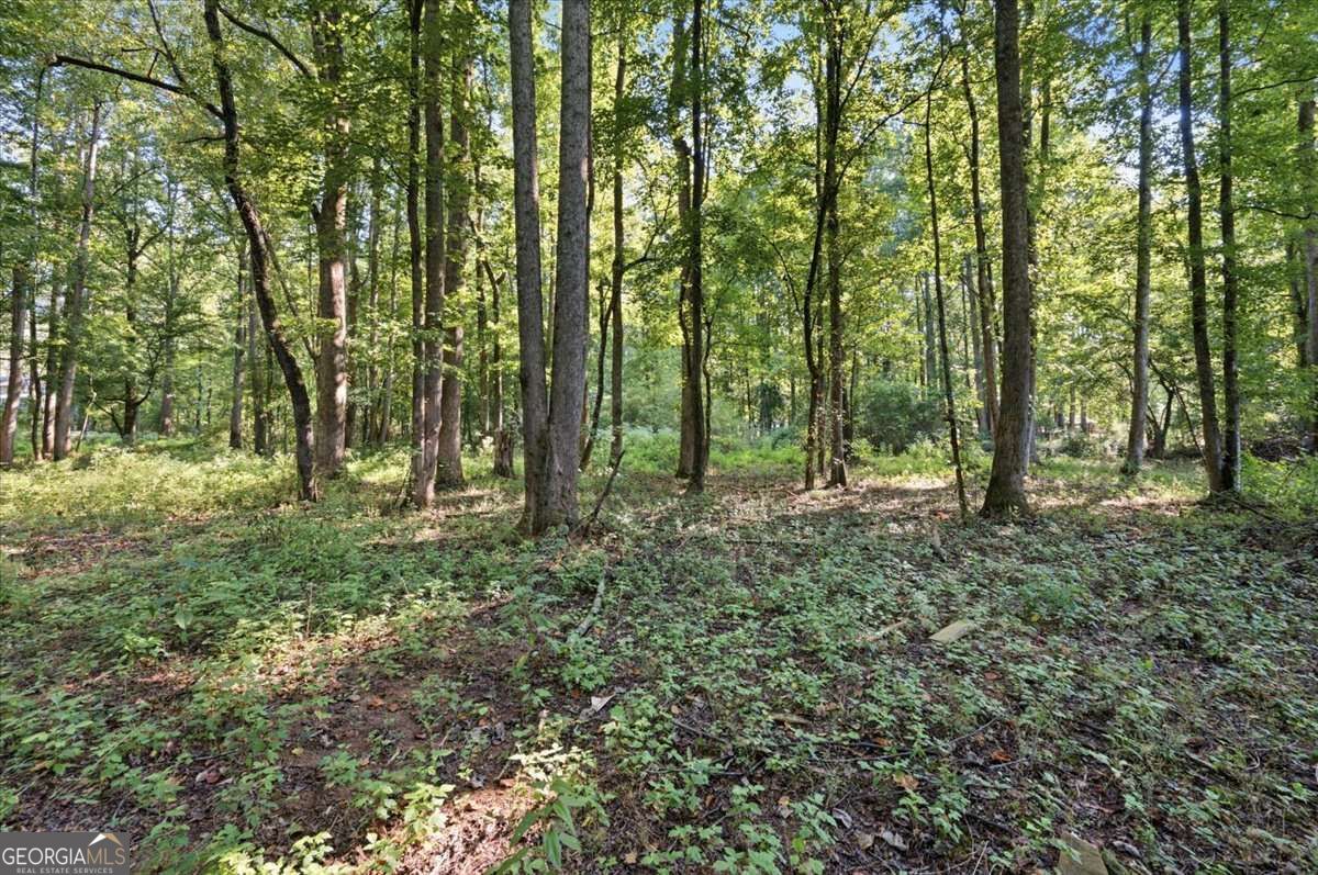 825 Old Magnolia Way Property Photo 10