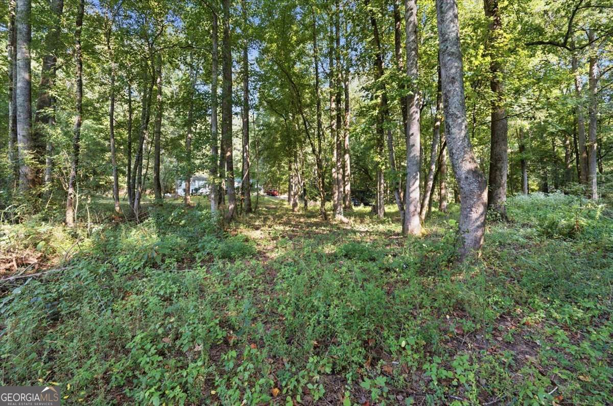 825 Old Magnolia Way Property Photo 11