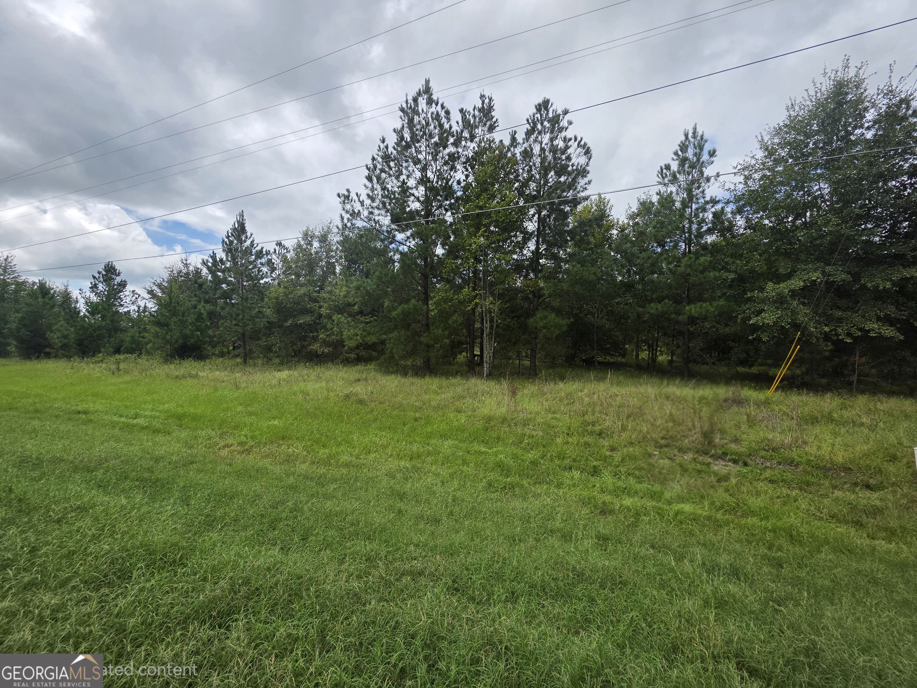3102 Blackshear Highway Property Photo 1
