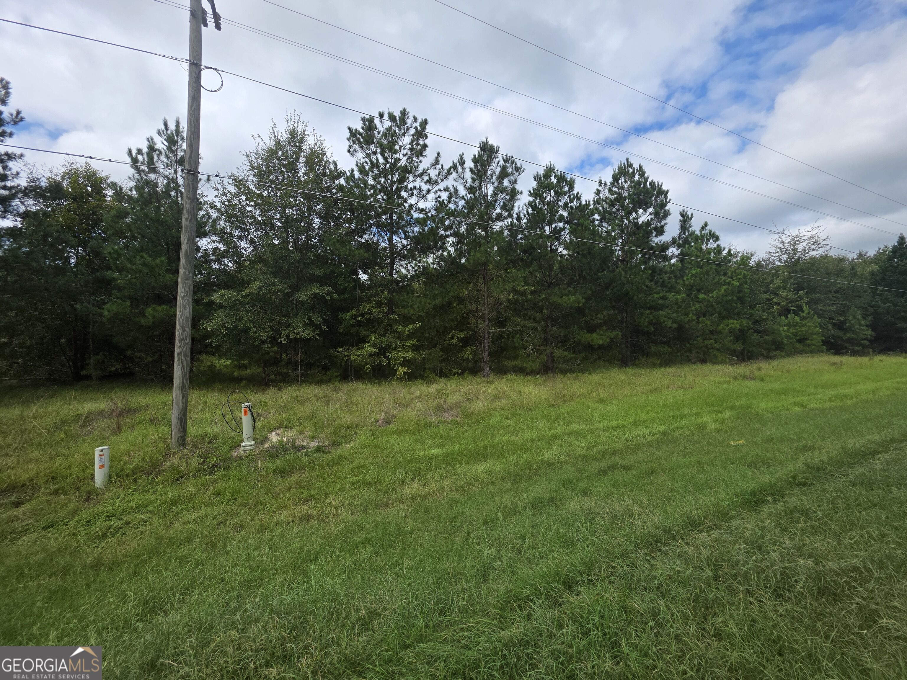 3102 Blackshear Highway Property Photo 2