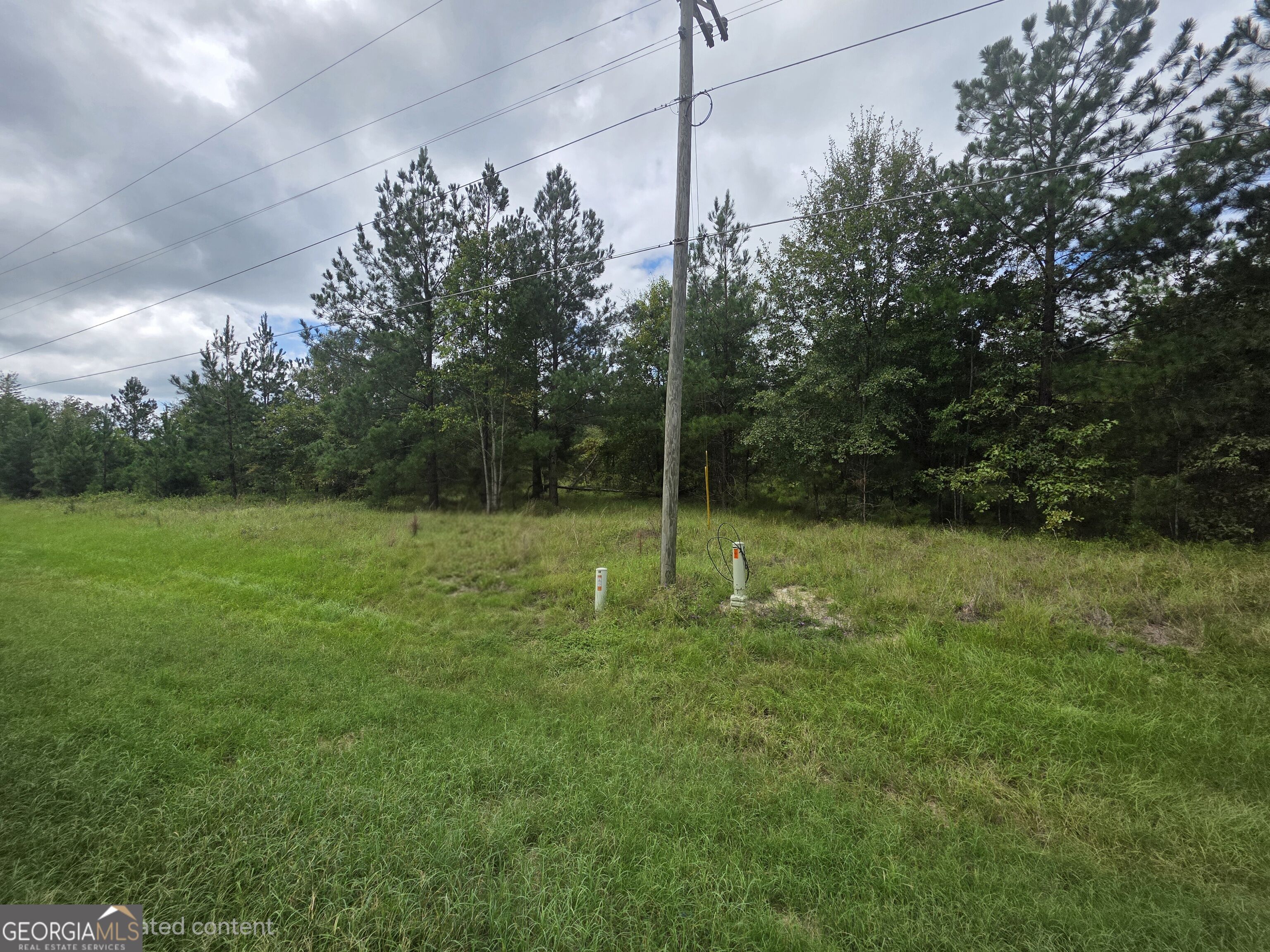 3102 Blackshear Highway Property Photo 3