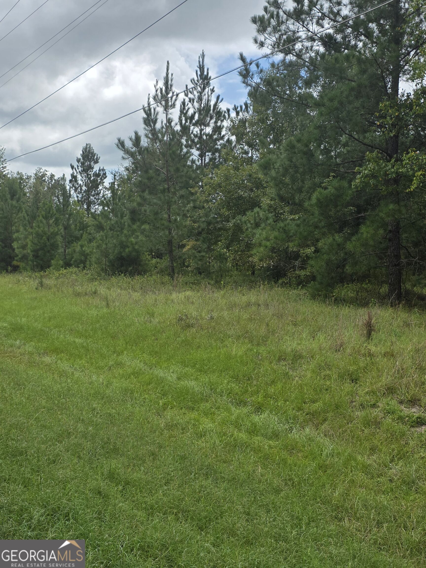 3102 Blackshear Highway Property Photo 4