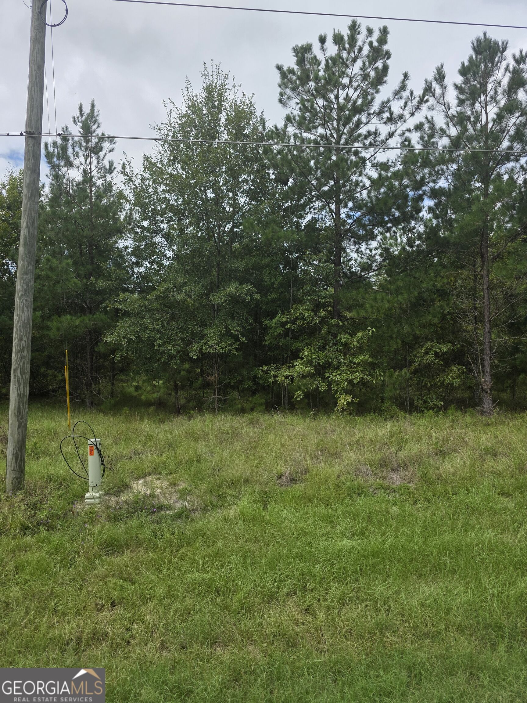 3102 Blackshear Highway Property Photo 5