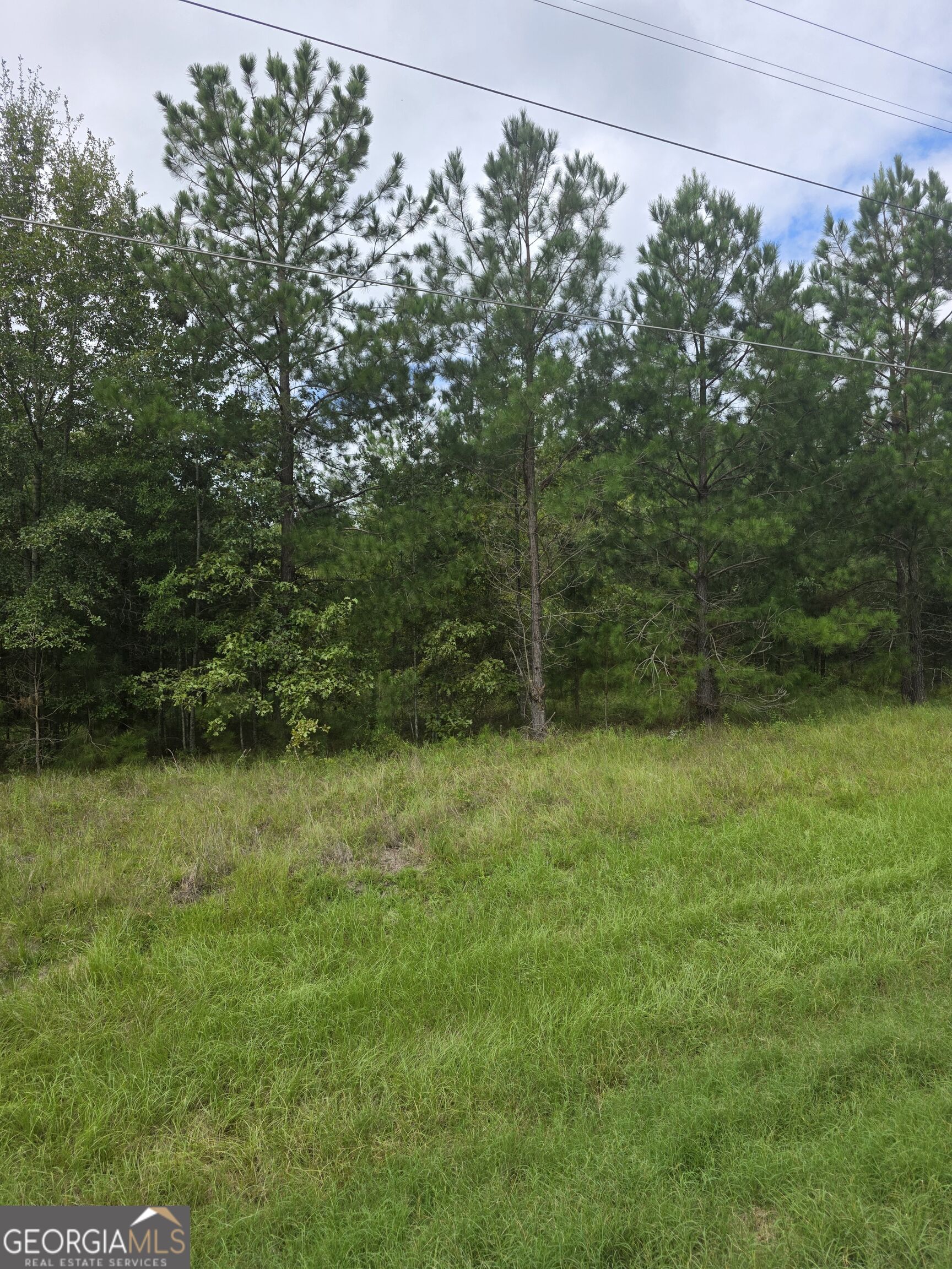 3102 Blackshear Highway Property Photo 6