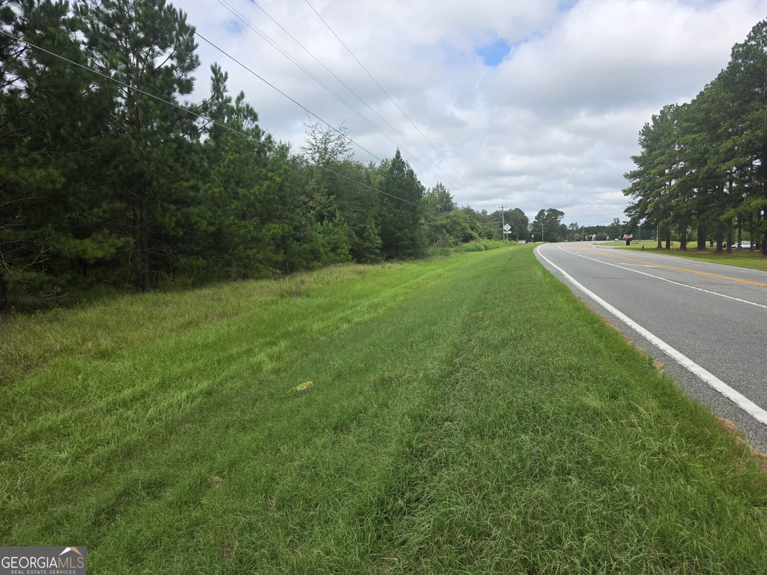 3102 Blackshear Highway Property Photo 7