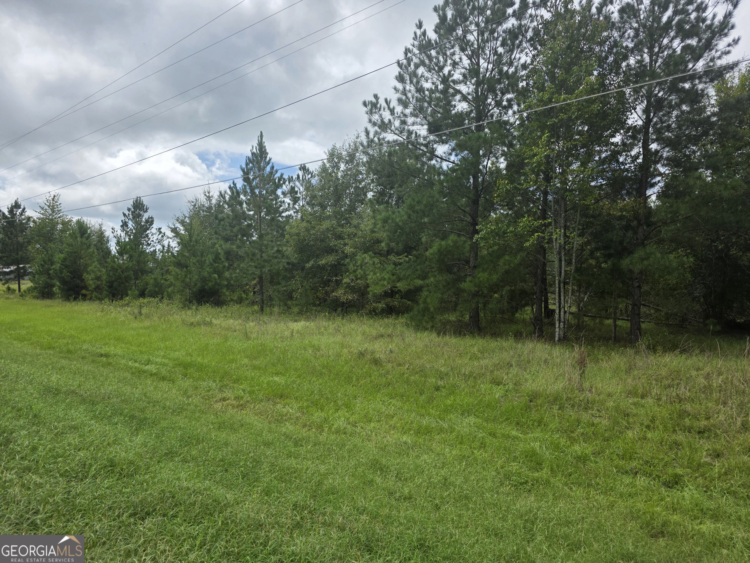 3102 Blackshear Highway Property Photo 8