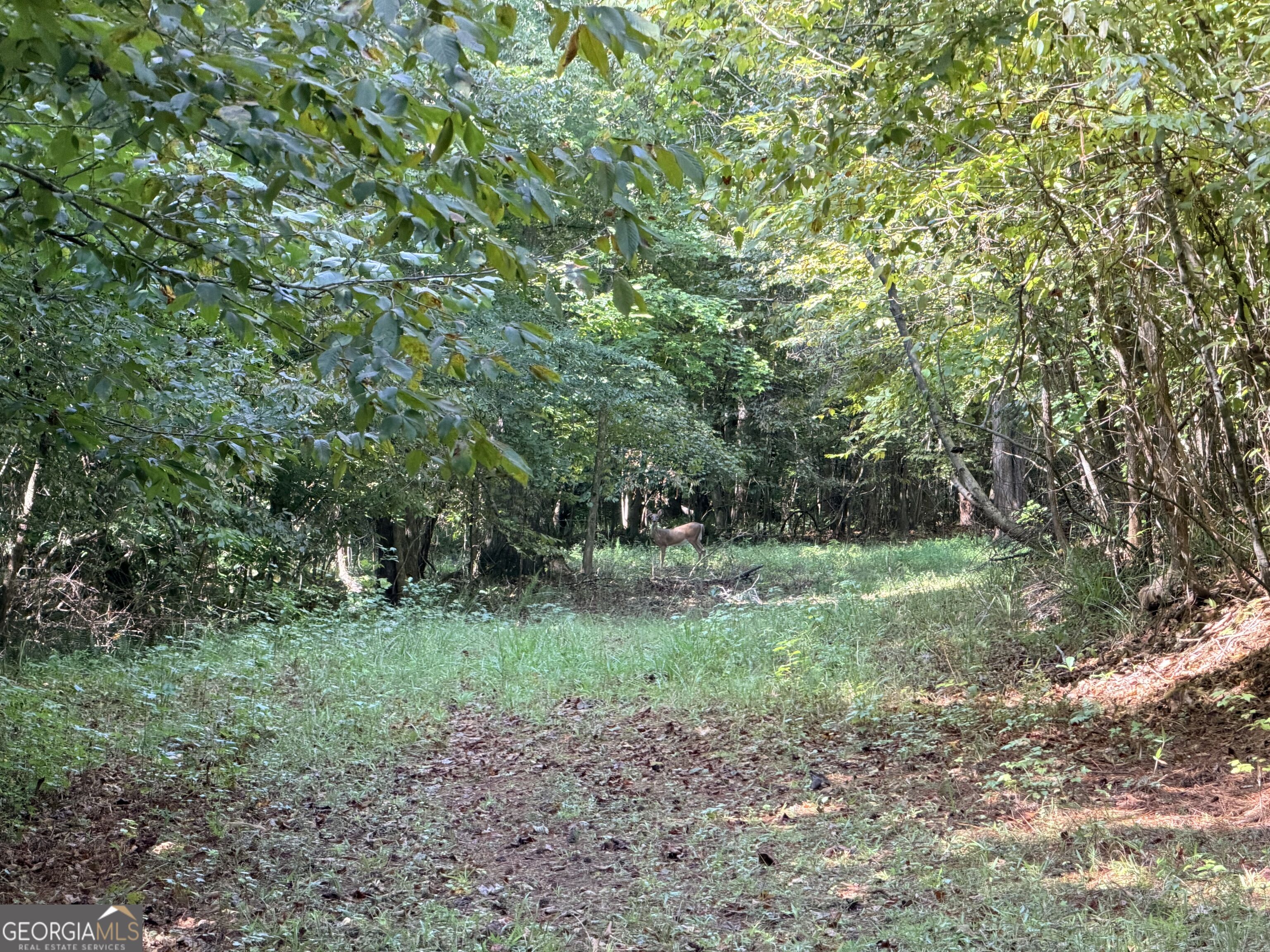 3 Cunningham Road Property Photo 20