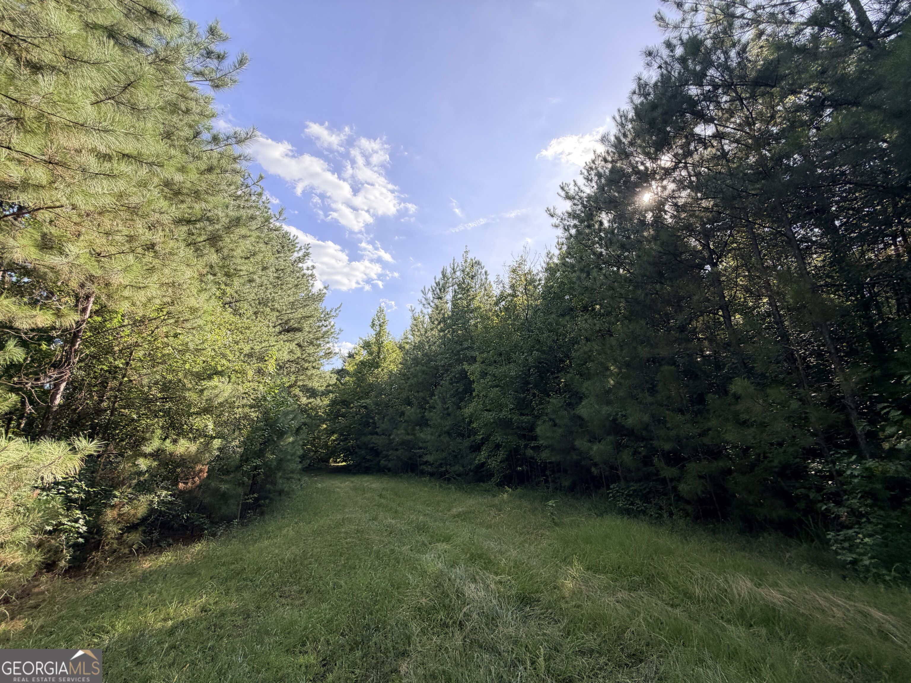 3 Cunningham Road Property Photo 52