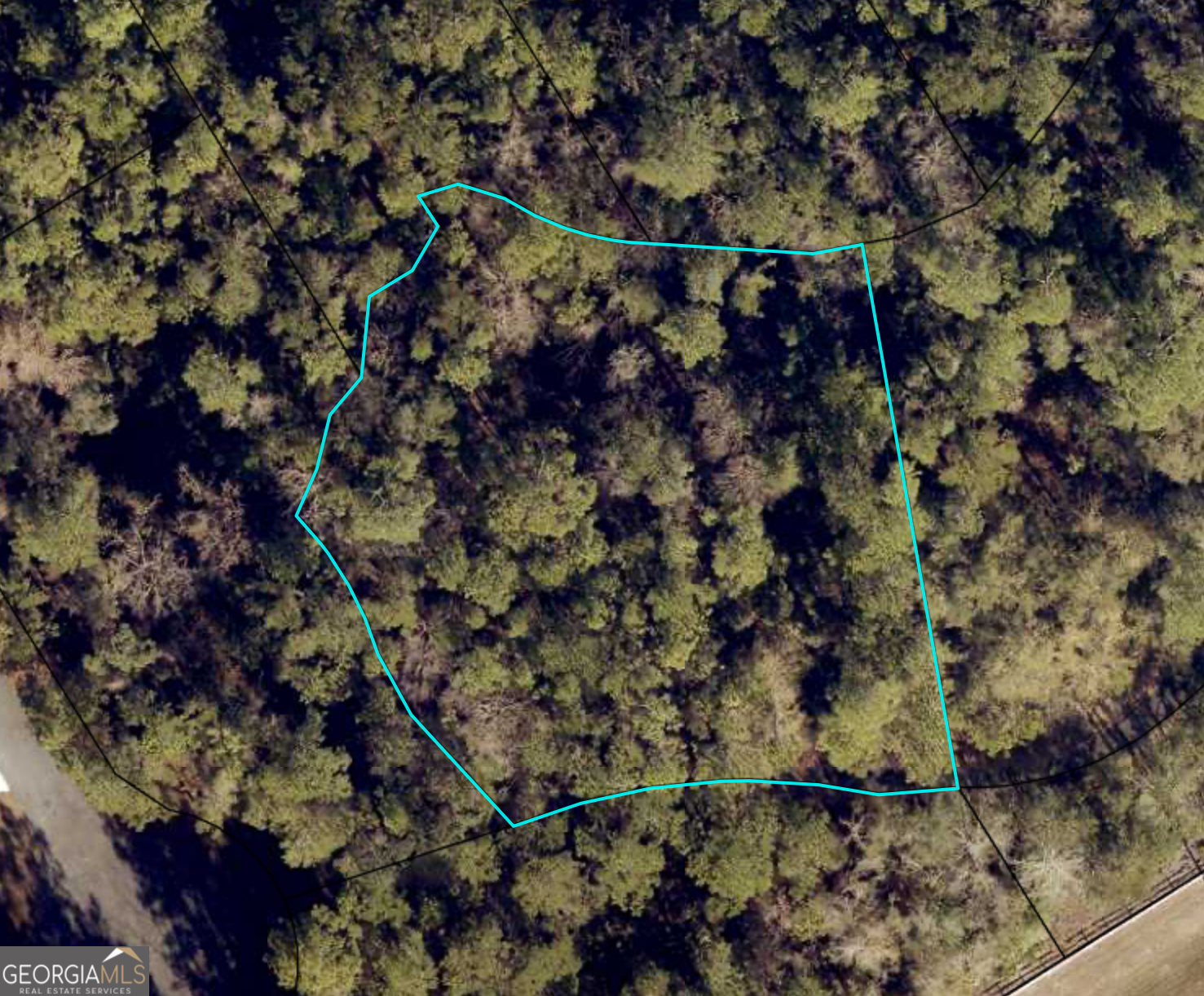 111 Canoe Run Property Photo 2
