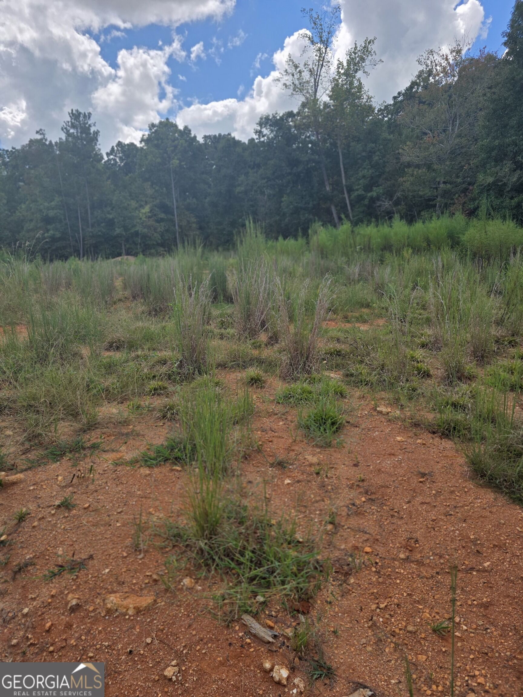 888 Forrester Cemetery Road Property Photo 1