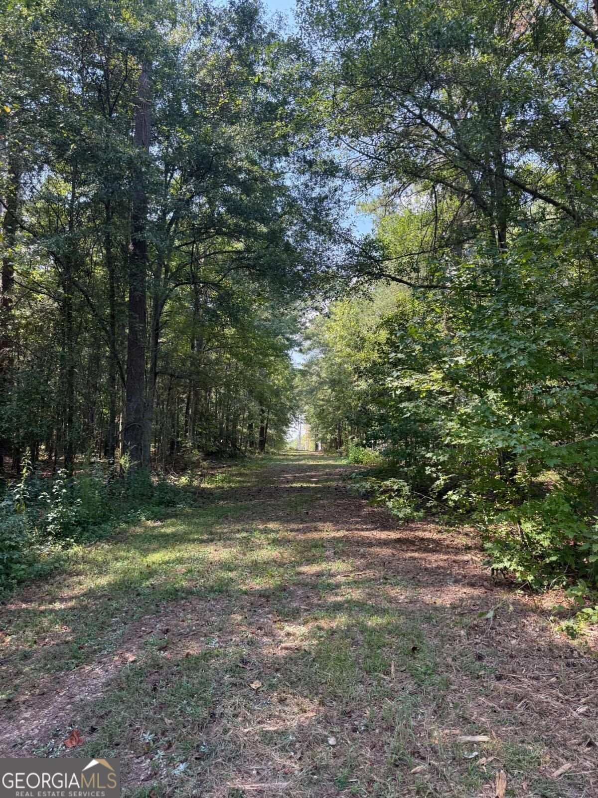 0 Monroe Highway Property Photo 3