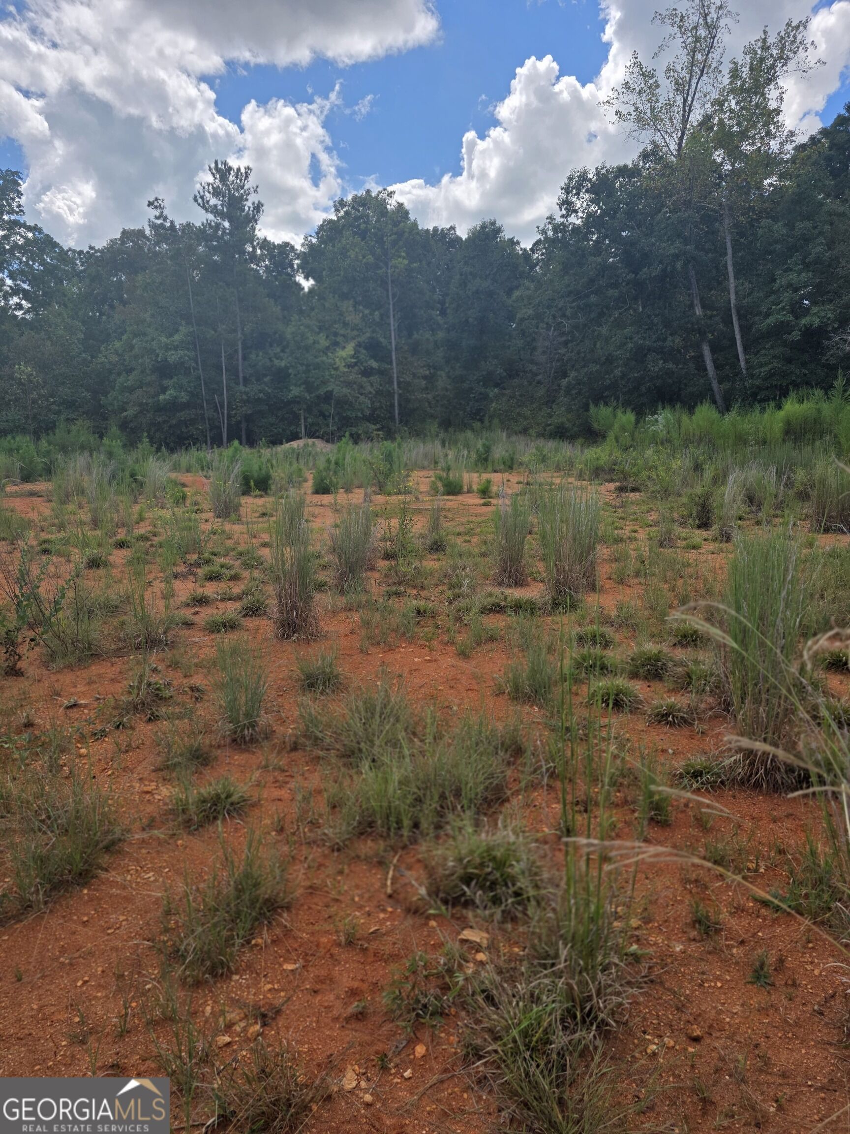 890 Forrester Cemetery Road Property Photo 1