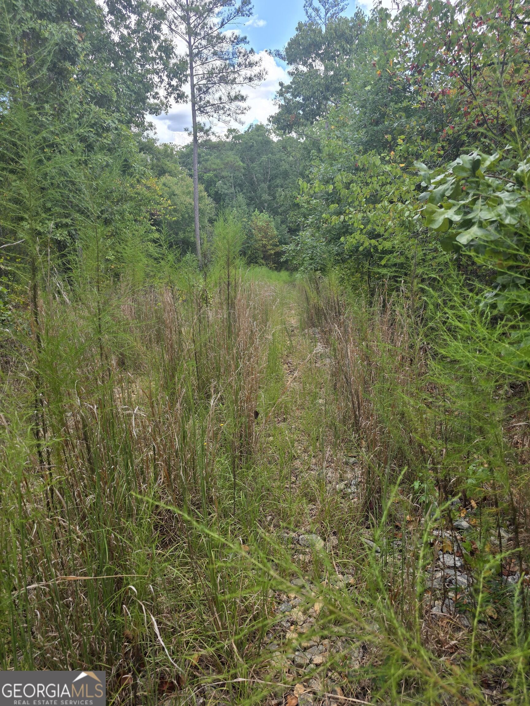 890 Forrester Cemetery Road Property Photo 2